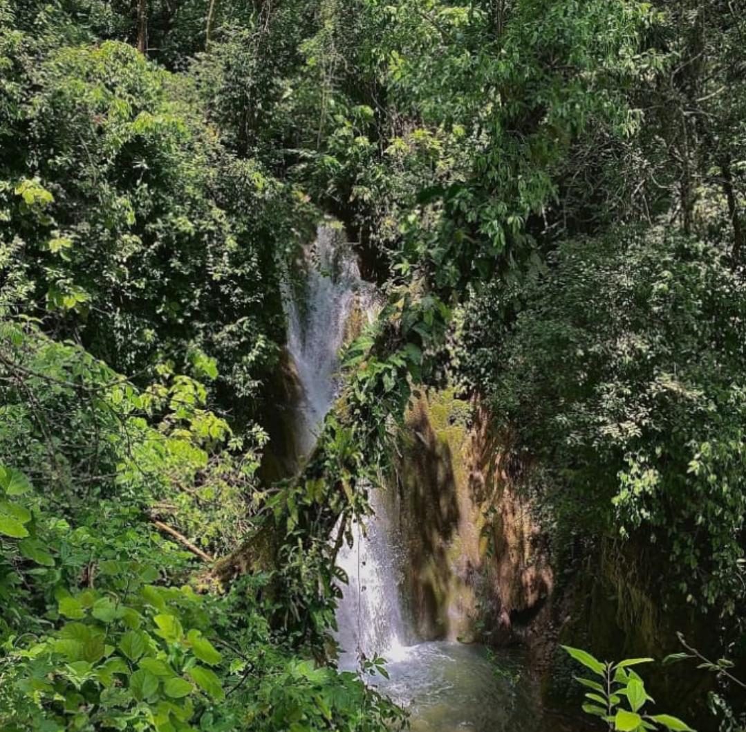 Cascada en Rancho Santa Mónica