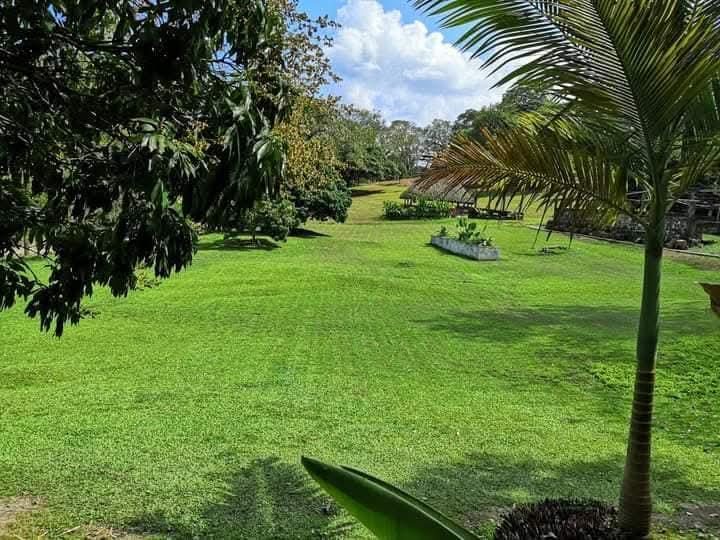 Jardines de Rancho Santa Mónica
